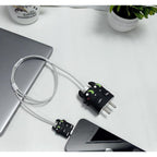 Charger Case and Cable Protector for iPhone (Dragon Guard)